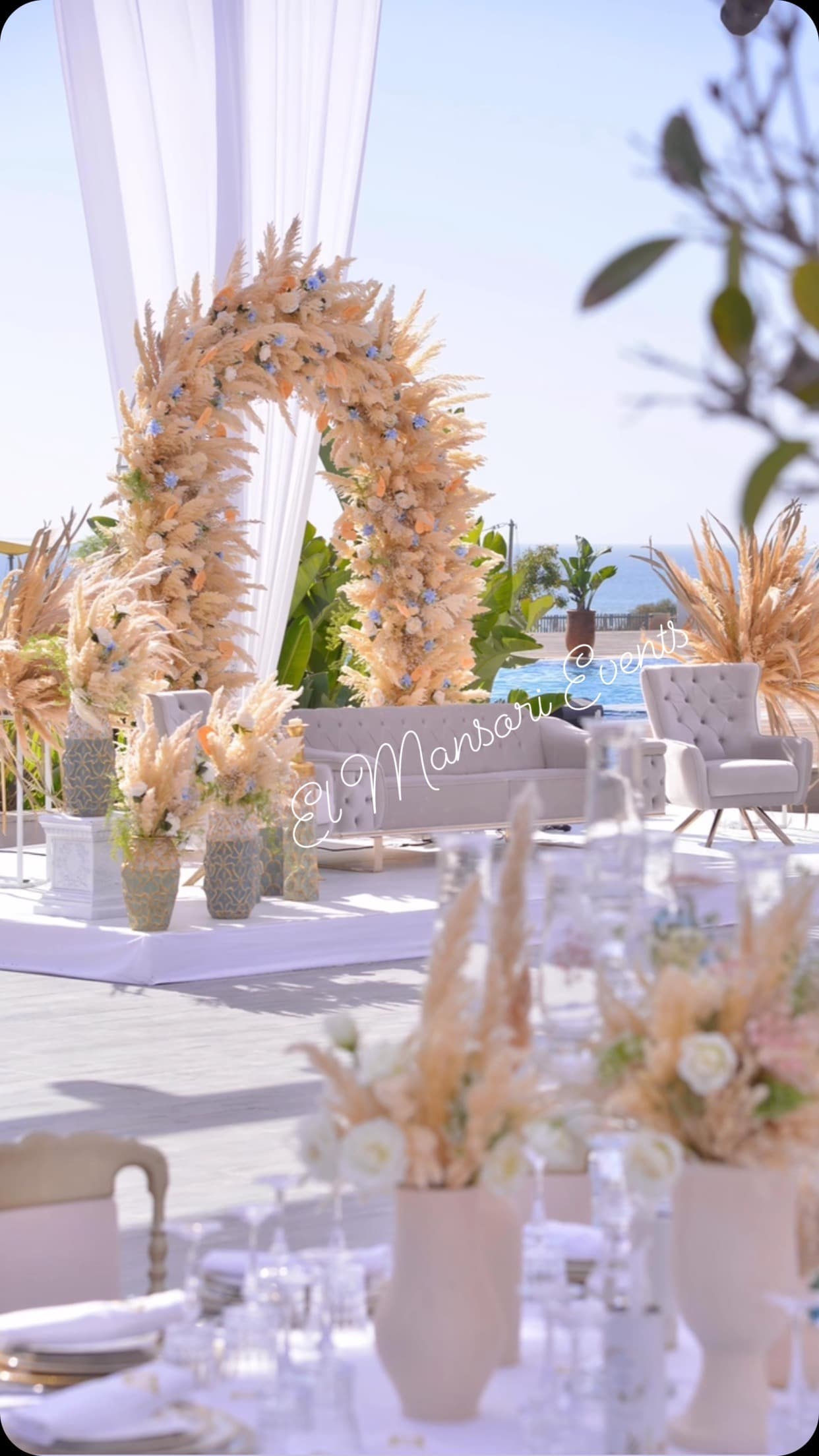 El Mansori Events 2