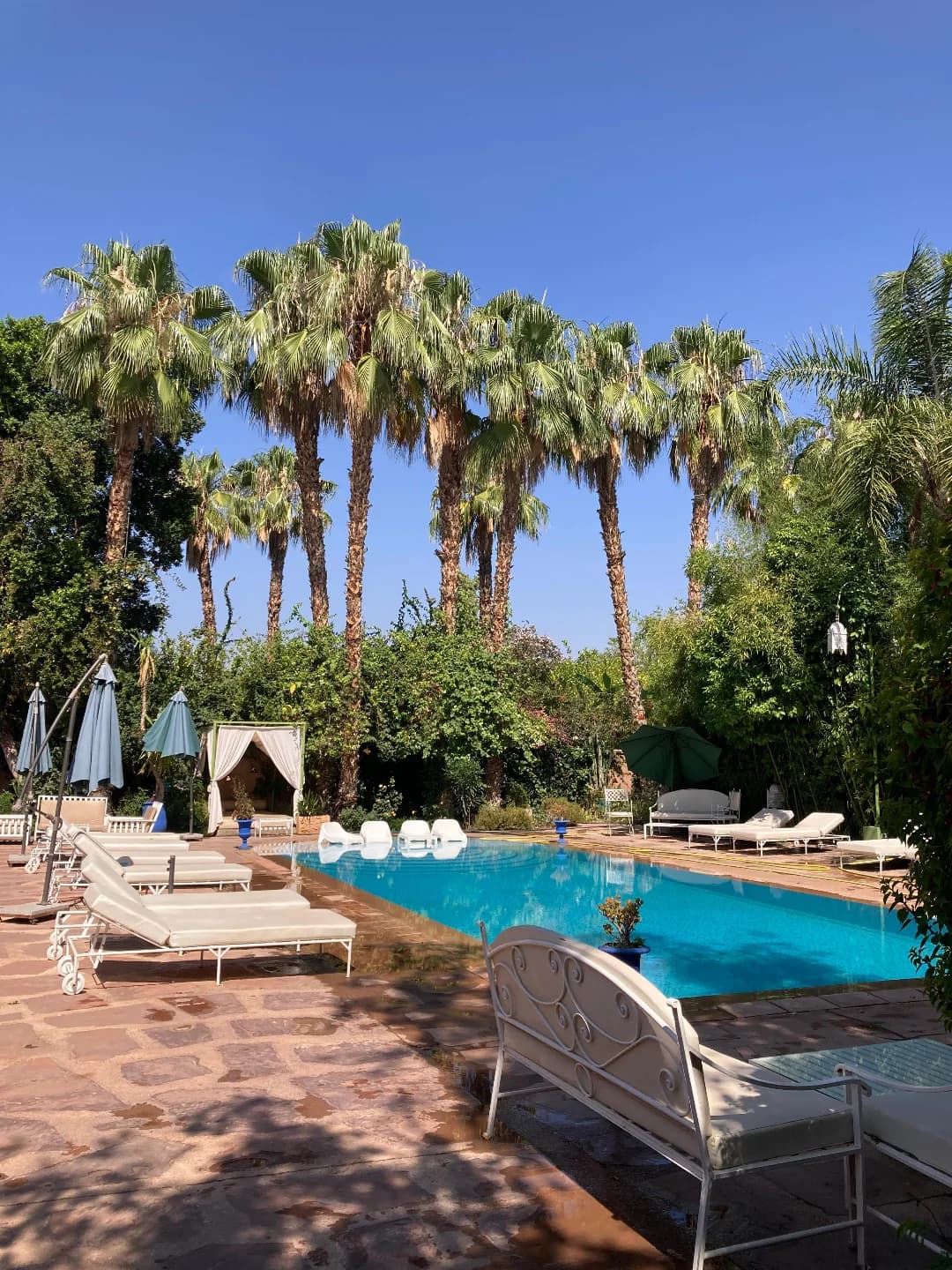 Le Bled by Chef Moha 3