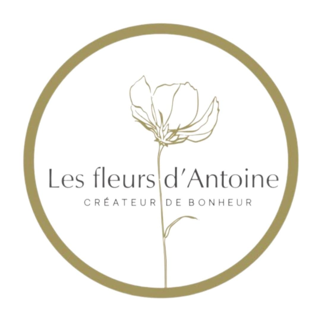 LesFleurs D'antoine 5