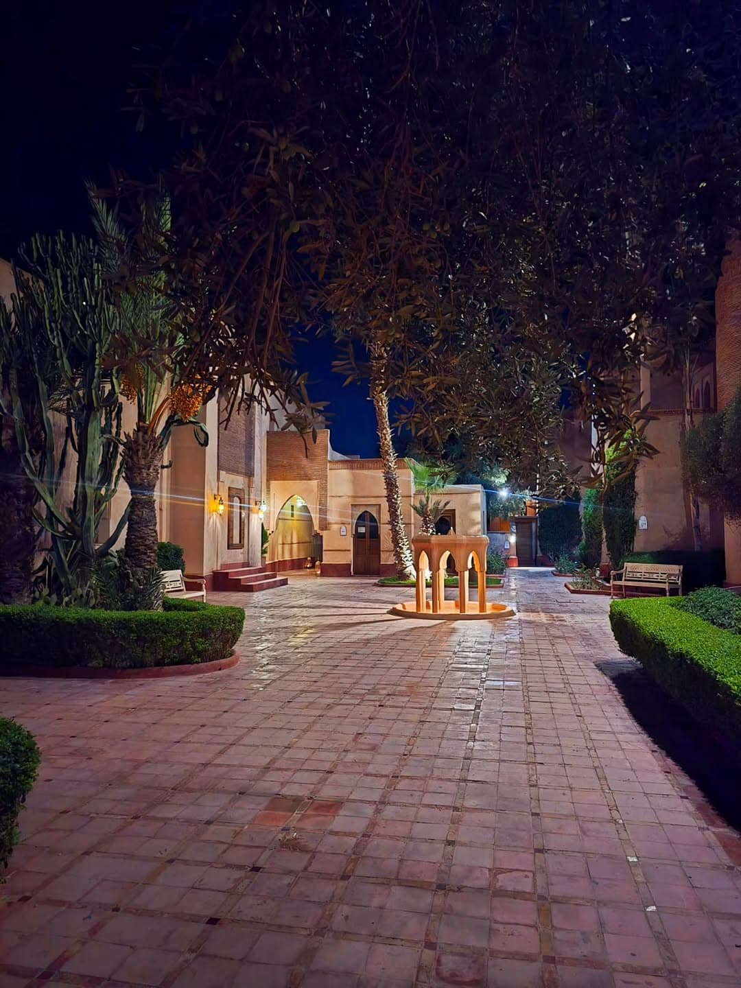 la Maison des Oliviers 3