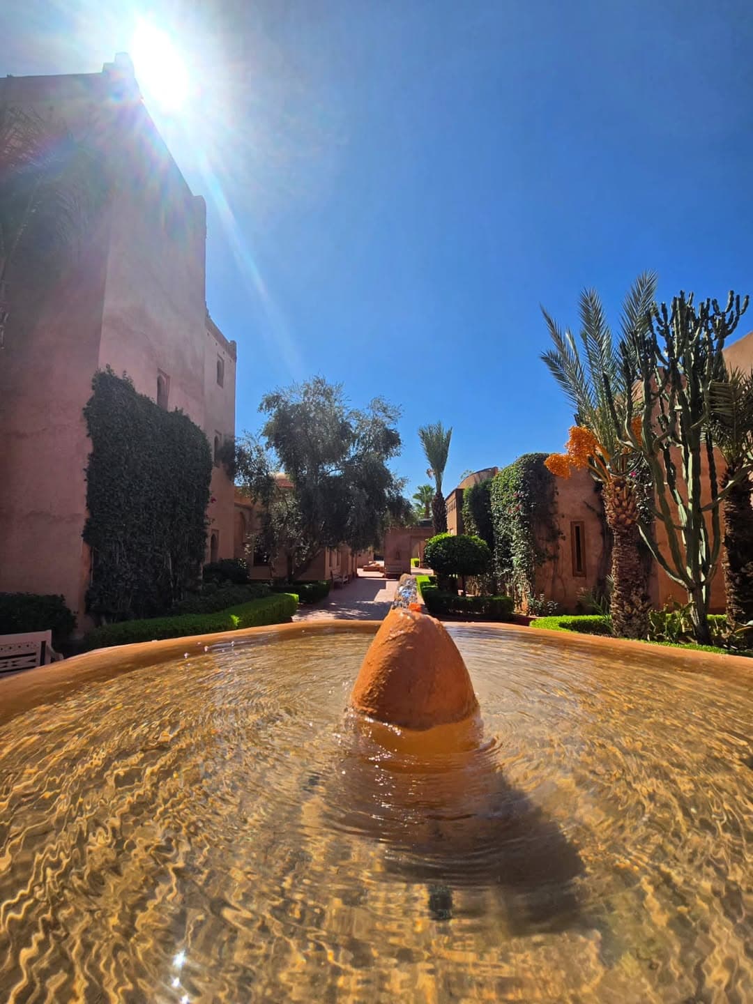 la Maison des Oliviers 4