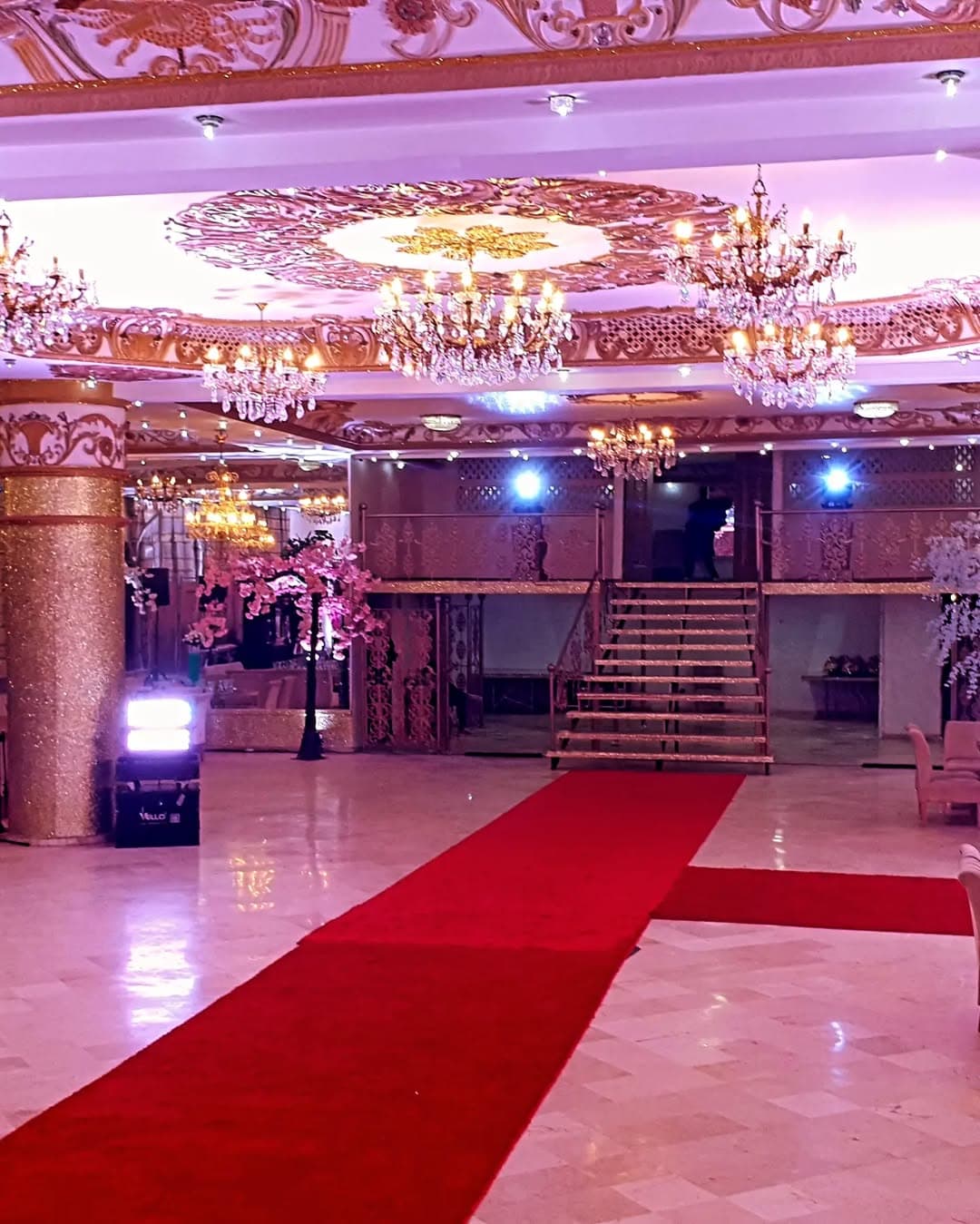 salle alf lila w lila